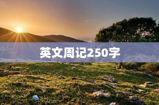 英文周记250字