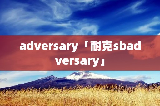 adversary「耐克sbadversary」