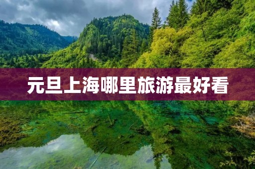 元旦上海哪里旅游最好看