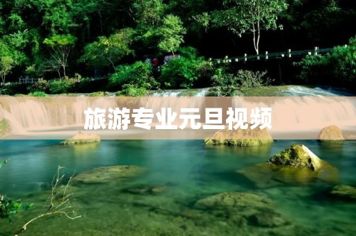 旅游专业元旦视频