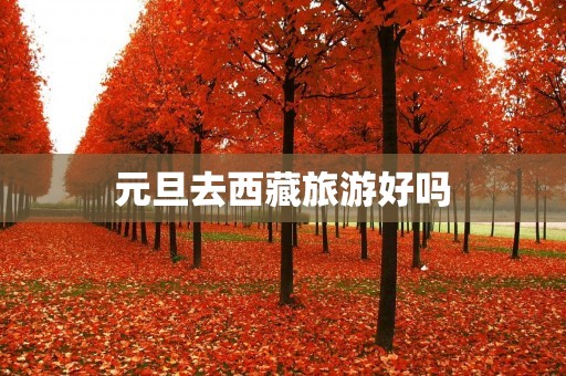 元旦去**旅游好吗