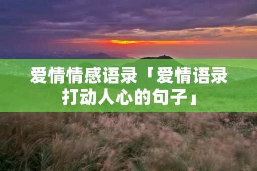 爱情情感语录「爱情语录打动人心的句子」