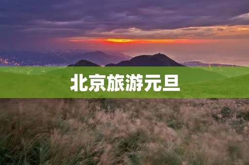 北京旅游元旦