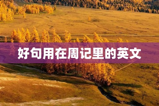 好句用在周记里的英文