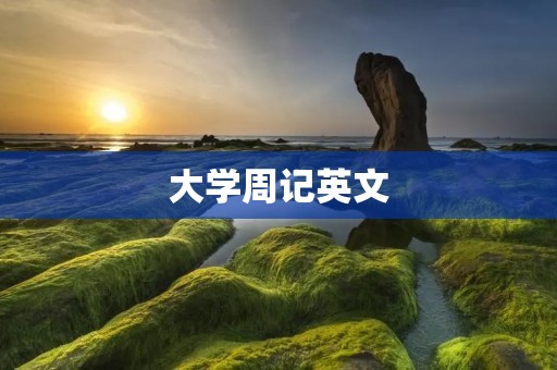 大学周记英文