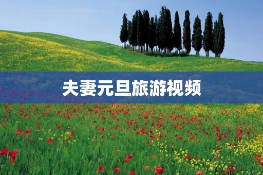 夫妻元旦旅游视频