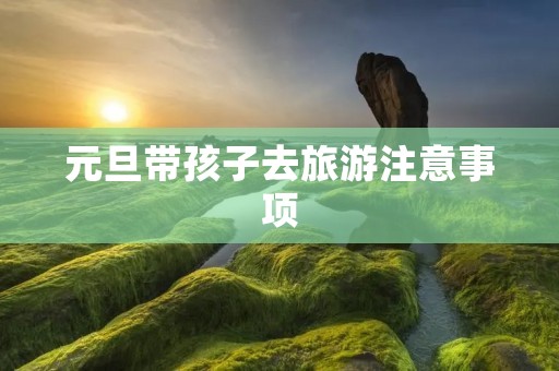 元旦带孩子去旅游注意事项