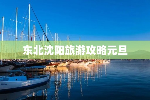 东北沈阳旅游攻略元旦