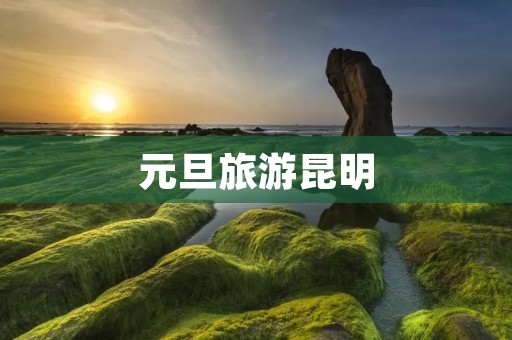 元旦旅游昆明