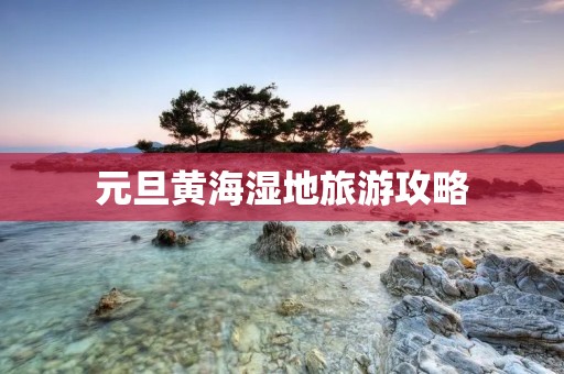 元旦黄海湿地旅游攻略