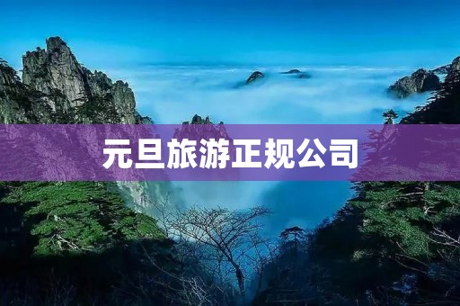 元旦旅游正规公司