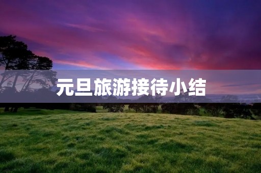 元旦旅游接待小结