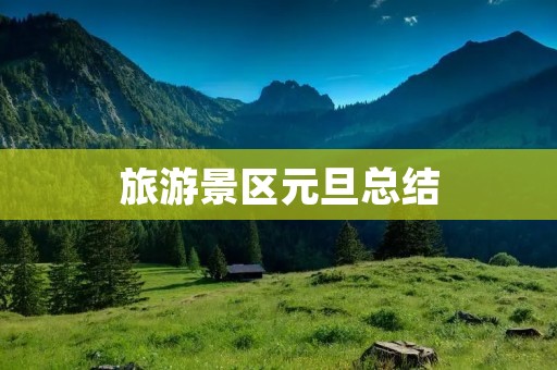 旅游景区元旦总结