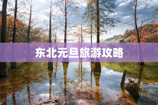 东北元旦旅游攻略