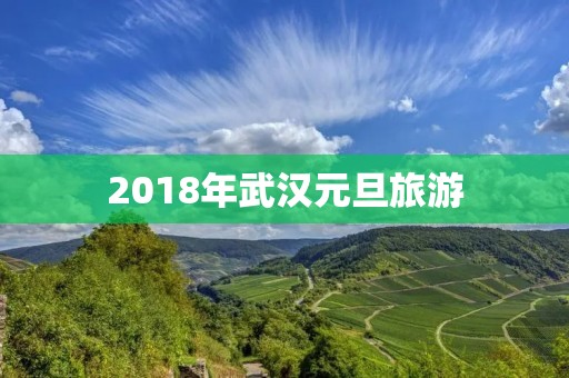 2018年武汉元旦旅游