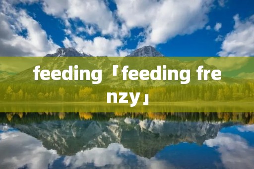 feeding「feeding frenzy」 feeding「feeding frenzy」