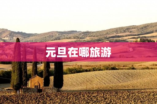 元旦在哪旅游