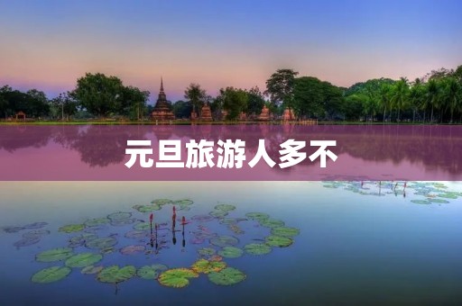 元旦旅游人多不