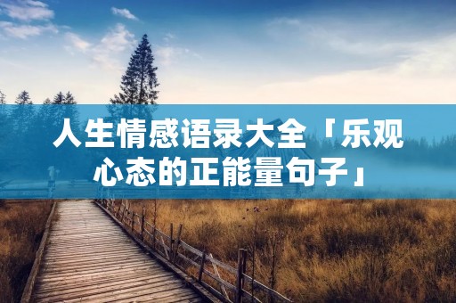 人生情感语录大全「乐观心态的正能量句子」
