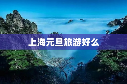 上海元旦旅游好么