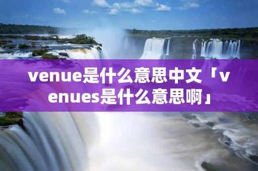 venue是什么意思中文「venues是什么意思啊」