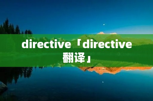 directive「directive翻译」