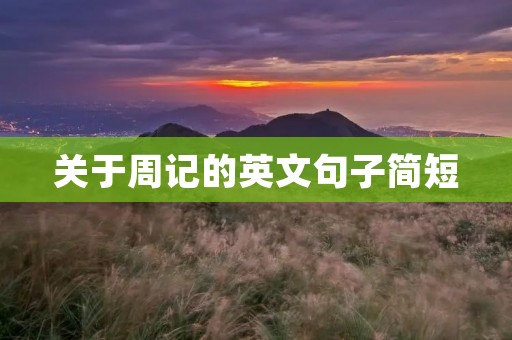 关于周记的英文句子简短