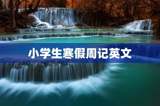 小学生寒假周记英文