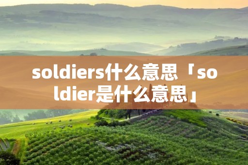 soldiers什么意思「soldier是什么意思」