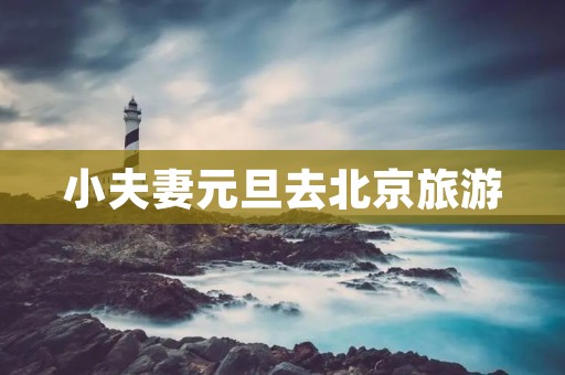 小夫妻元旦去北京旅游