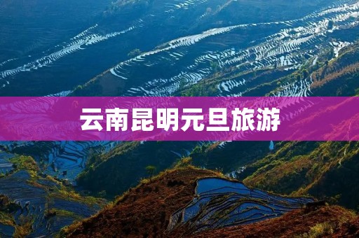 云南昆明元旦旅游