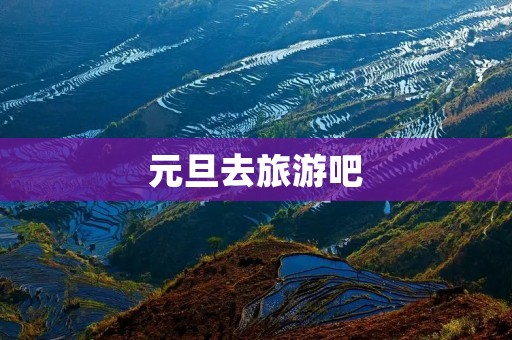元旦去旅游吧