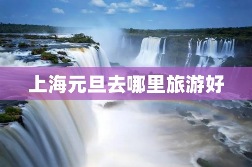 上海元旦去哪里旅游好