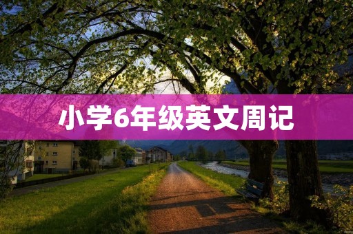 小学6年级英文周记