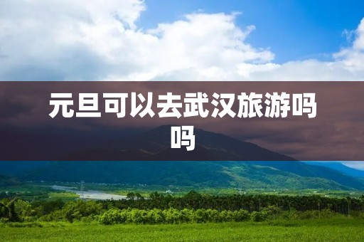 元旦可以去武汉旅游吗吗