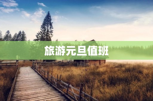 旅游元旦值班