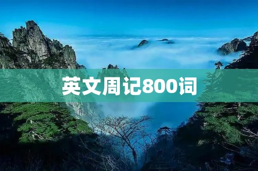 英文周记800词