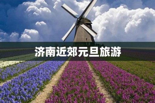 济南近郊元旦旅游