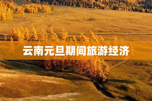 云南元旦期间旅游经济
