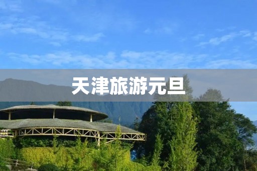 天津旅游元旦