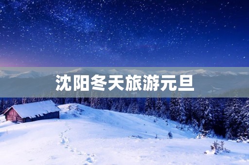 沈阳冬天旅游元旦