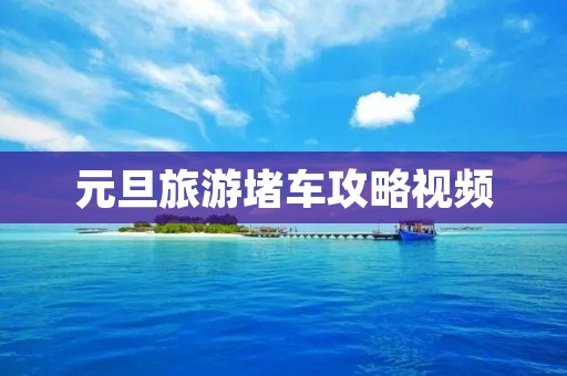元旦旅游堵车攻略视频