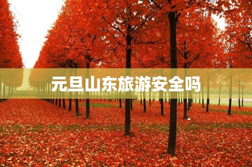 元旦山东旅游安全吗
