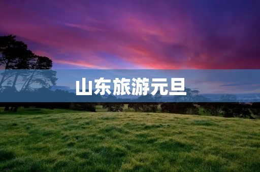 山东旅游元旦