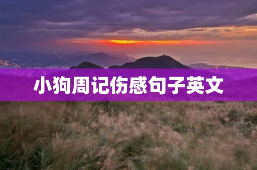 小狗周记伤感句子英文