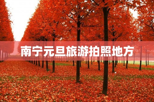 南宁元旦旅游拍照地方