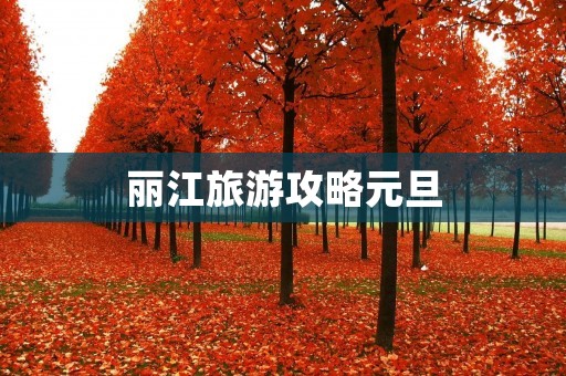 丽江旅游攻略元旦