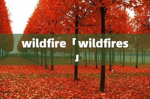 wildfire「wildfires」 wildfire「wildfires」