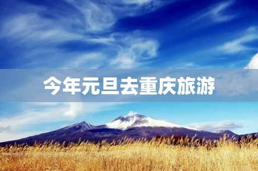 今年元旦去重庆旅游