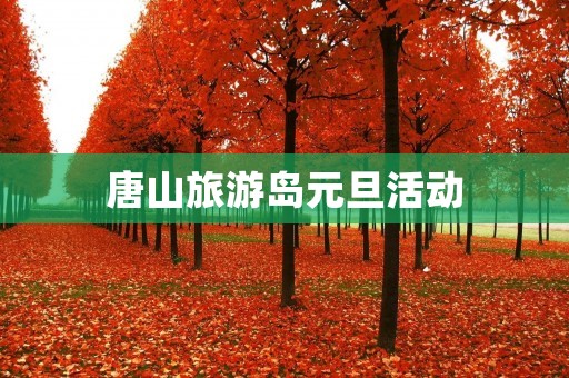 唐山旅游岛元旦活动
